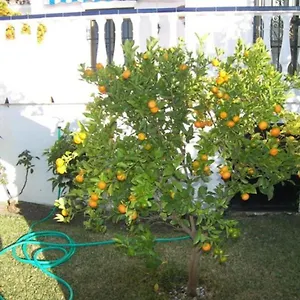 Capistrano1 Сasa de vacaciones
